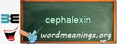 WordMeaning blackboard for cephalexin
